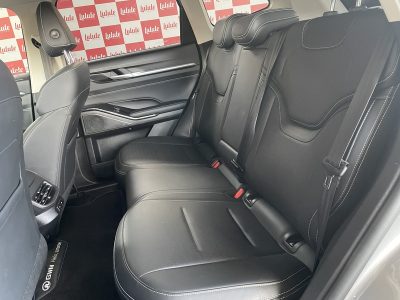 GWM HAVAL H6 PHEV34 1.5 TB 16V AUT