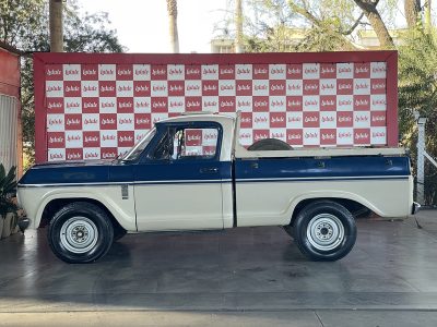 CHEVROLET D10 3.9 8V
